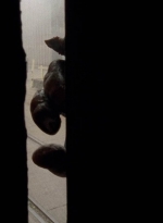 twd0501-1730.jpg