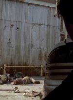 twd0501-2037.jpg