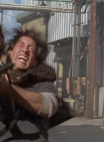 twd0501-2050.jpg
