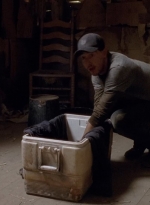 twd0501-2393.jpg