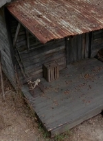 twd0501-2542.jpg