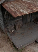 twd0501-2543.jpg