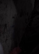 twd0501-2555.jpg