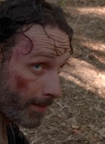 twd0501-2890.jpg