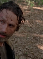 twd0501-2912.jpg