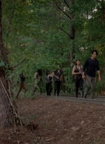 twd0501-3208.jpg