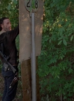 twd0501-3250.jpg