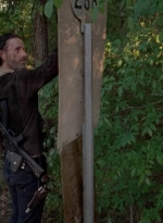 twd0501-3252.jpg