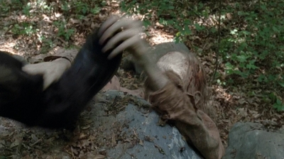 twd0502-0681.jpg