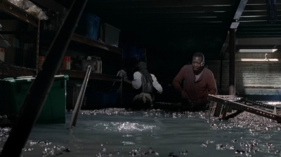 twd0502-2222.jpg
