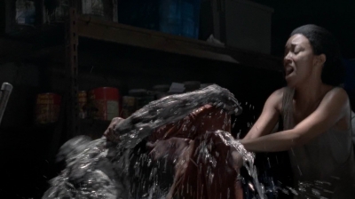 twd0502-2237.jpg