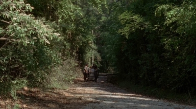 twd0502-2305.jpg