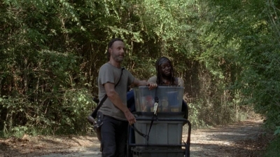 twd0502-2362.jpg