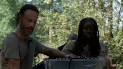 twd0502-2382.jpg