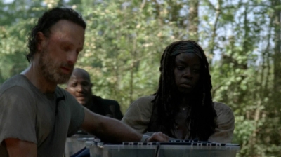 twd0502-2383.jpg