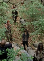 twd0502-0706.jpg