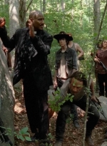 twd0502-0906.jpg