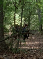 twd0502-0966.jpg