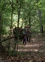 twd0502-0967.jpg