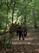 twd0502-0968.jpg