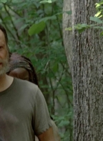 twd0502-1012.jpg