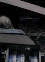 twd0502-2020.jpg