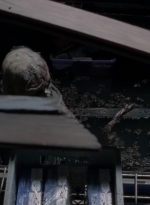 twd0502-2021.jpg