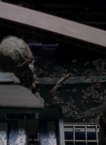 twd0502-2023.jpg