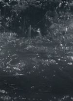 twd0502-2234.jpg