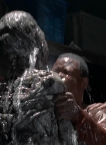 twd0502-2236.jpg