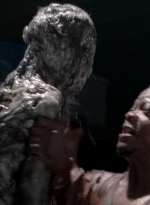 twd0502-2243.jpg