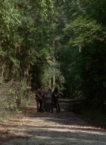 twd0502-2313.jpg