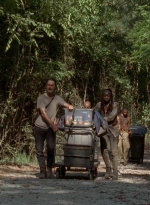 twd0502-2349.jpg