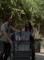 twd0502-2360.jpg