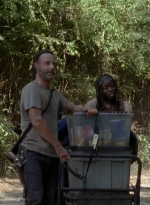 twd0502-2362.jpg