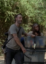 twd0502-2363.jpg