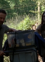 twd0502-2371.jpg