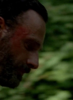 twd0502-2388.jpg