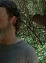 twd0502-2449.jpg