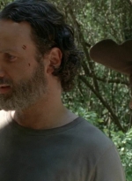 twd0502-2450.jpg