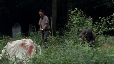 twd0503-3130.jpg