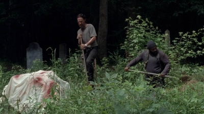 twd0503-3137.jpg