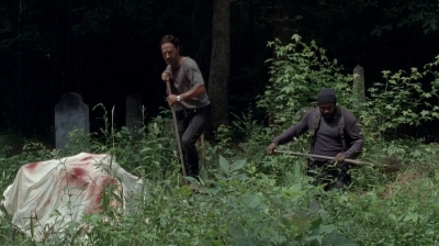 twd0503-3138.jpg