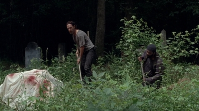 twd0503-3141.jpg