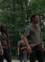 twd0503-2911.jpg