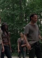 twd0503-2913.jpg