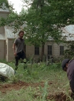 twd0503-3065.jpg