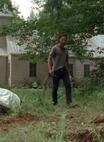 twd0503-3067.jpg