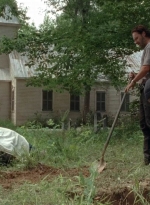 twd0503-3073.jpg