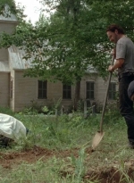 twd0503-3074.jpg